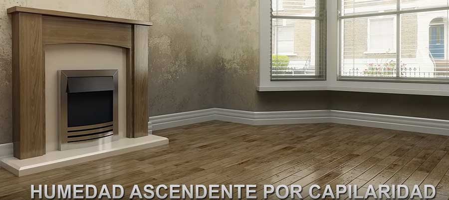 solucionar-humedad-por-capilaridad